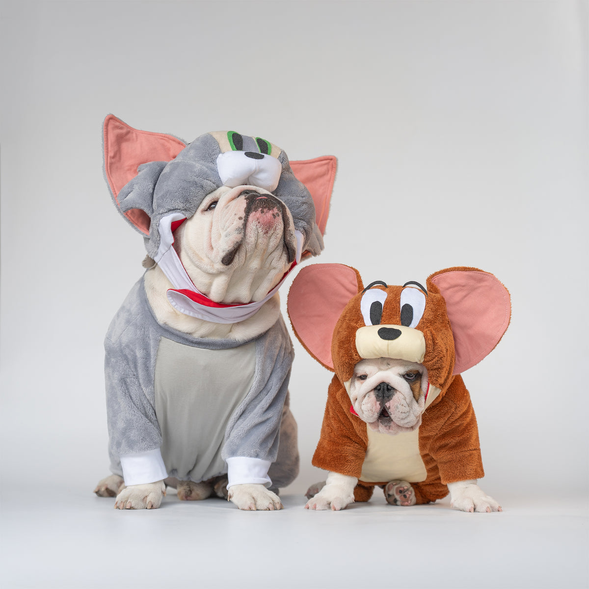 WONTON TOM costume