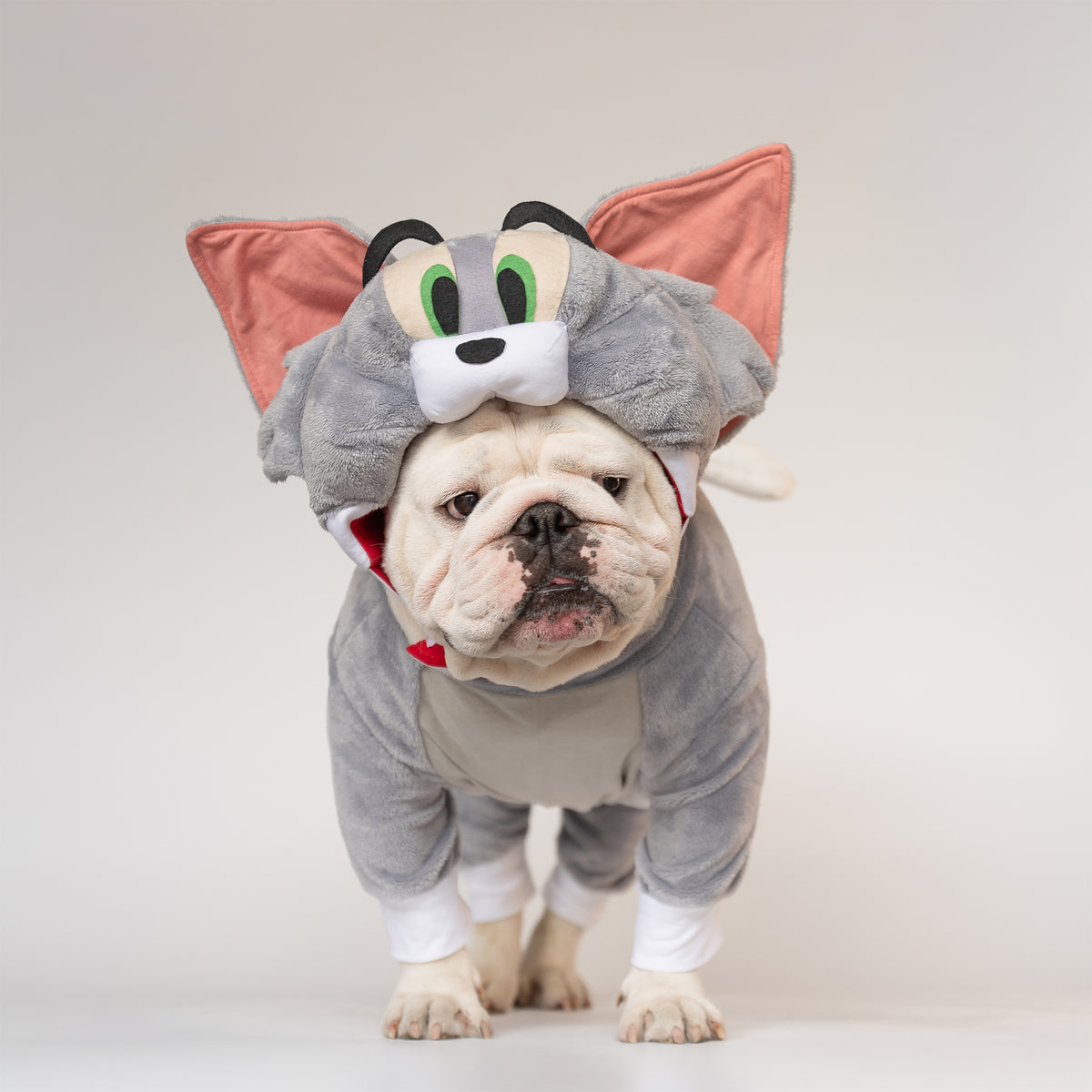 WONTON TOM costume