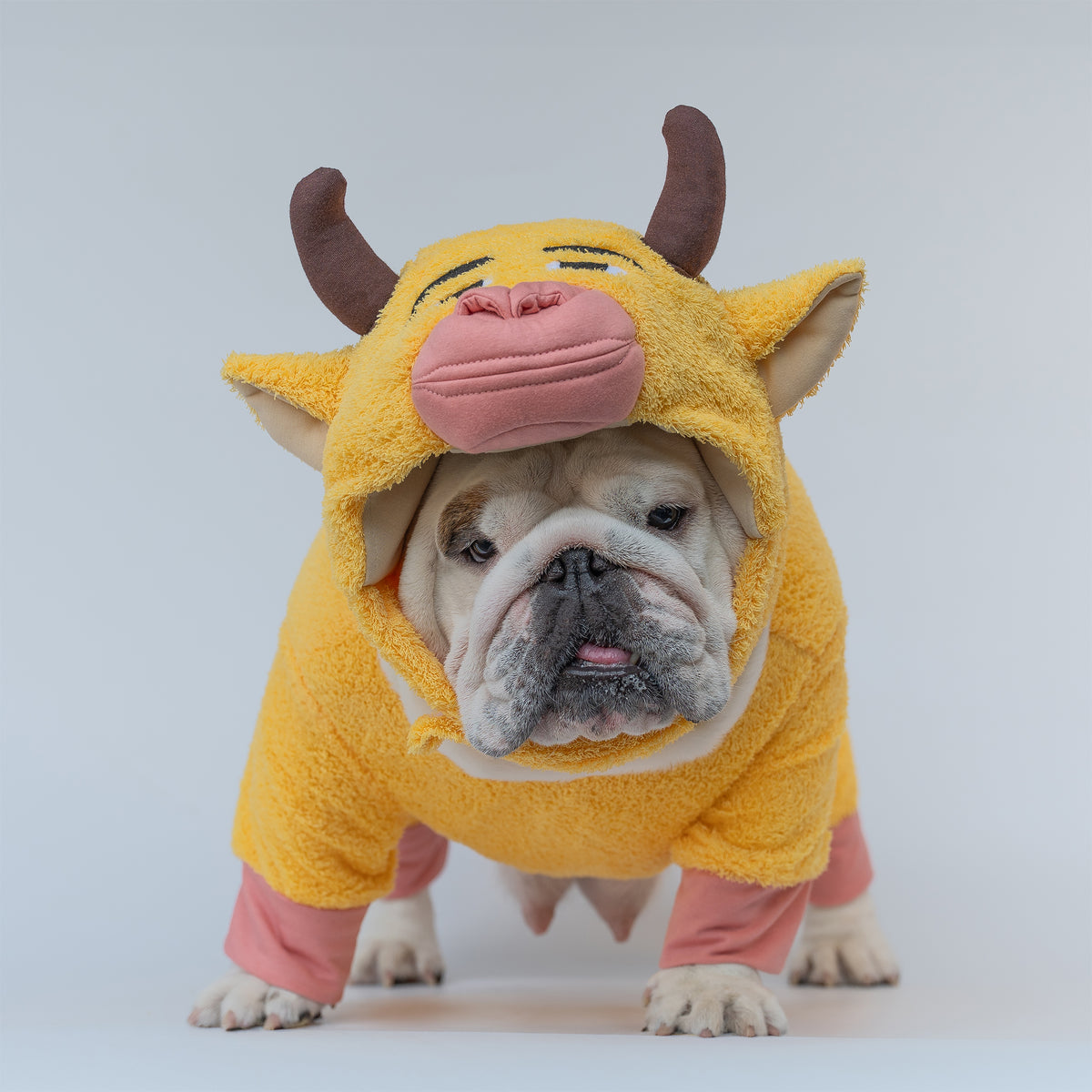 WONTON The Yellow Cow costume
