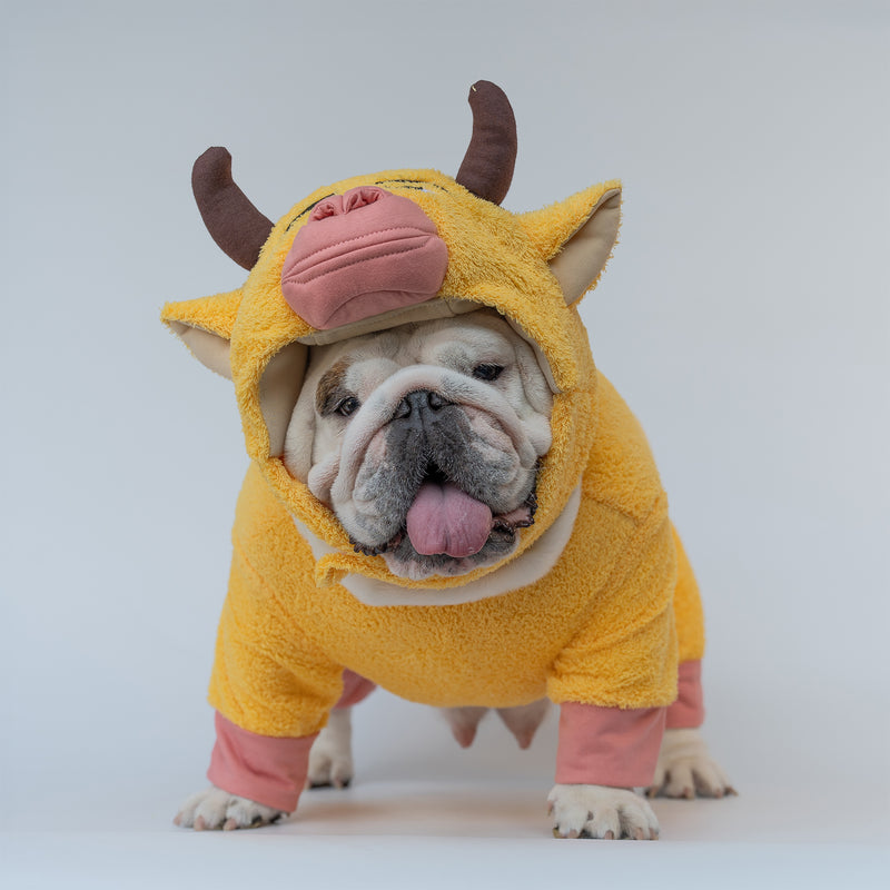 WONTON The Yellow Cow costume