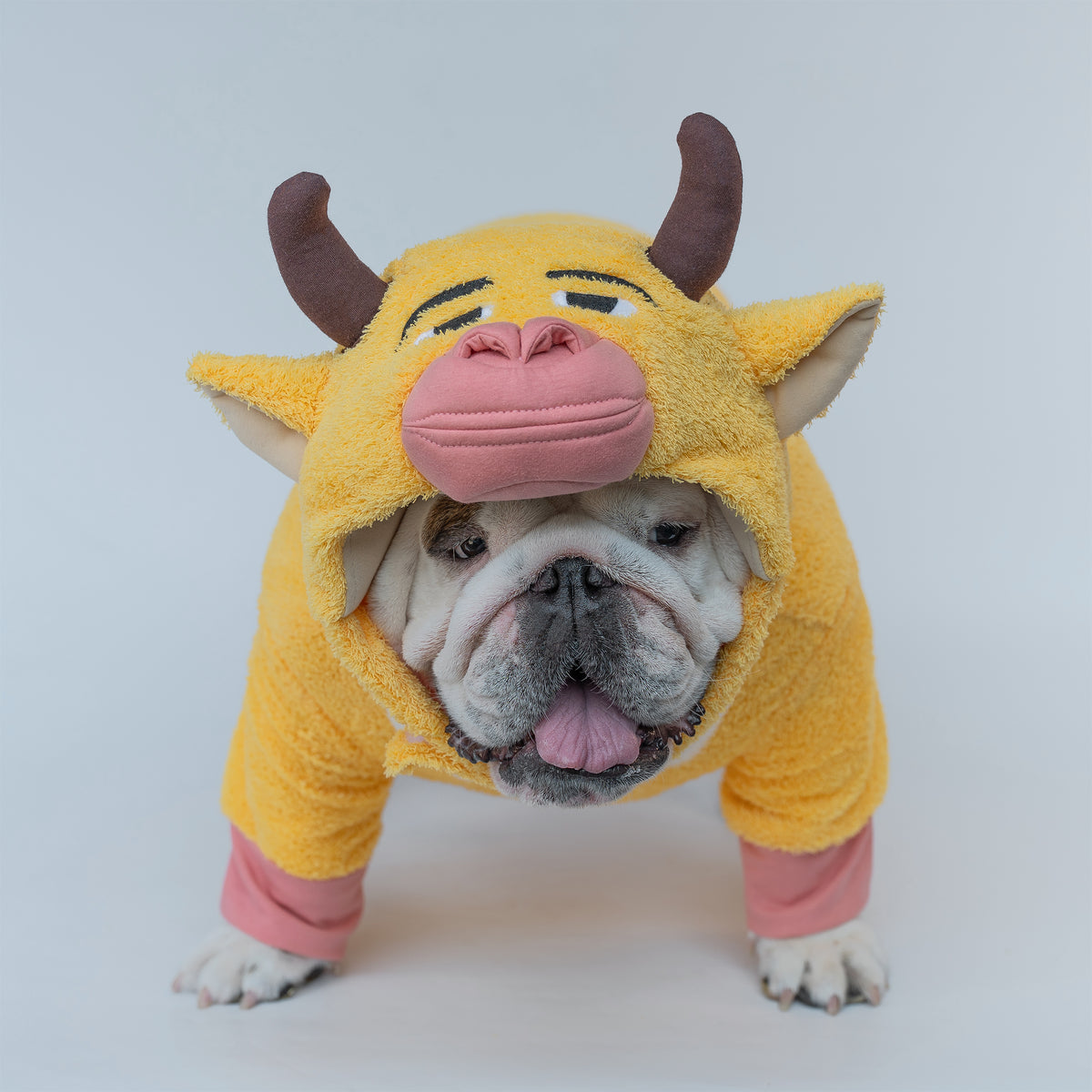 WONTON The Yellow Cow costume