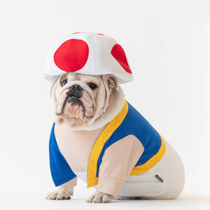 WONTON Toad Costume