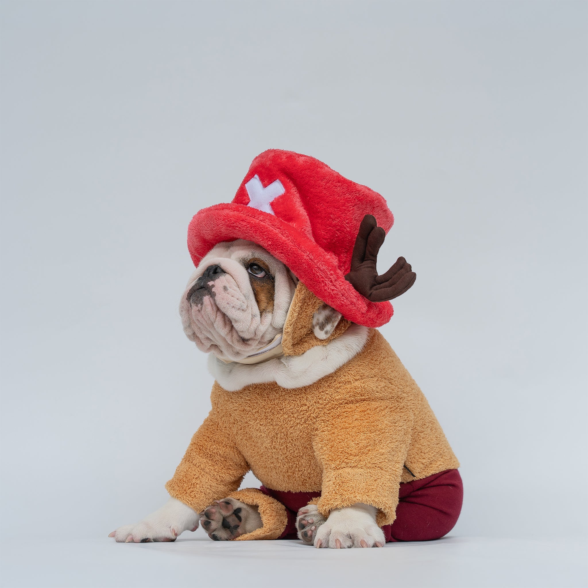 WONTON Tony Tony Flopper – Wonton Collection