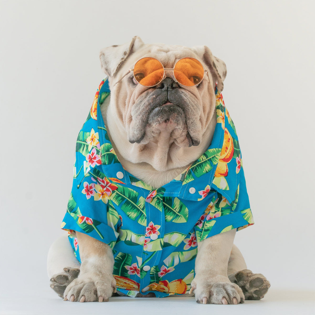 WONTON Tropical Party shirt