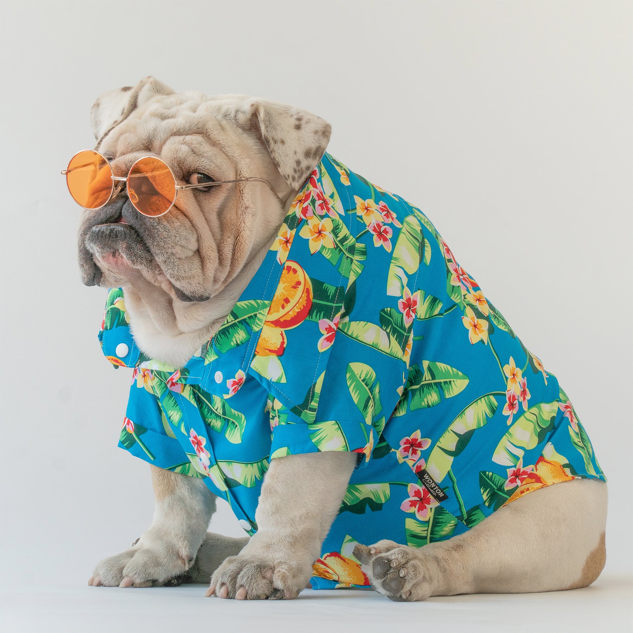 WONTON Tropical Party shirt