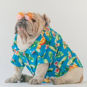 WONTON Tropical Party shirt