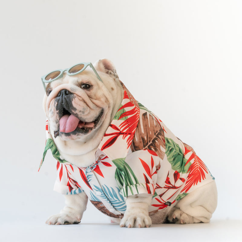WONTON Tropicalia shirt