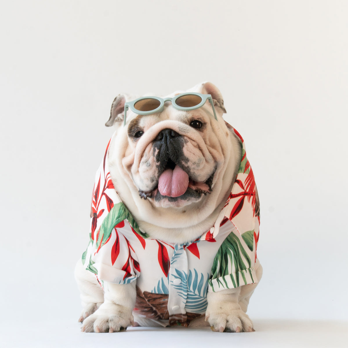 WONTON Tropicalia shirt