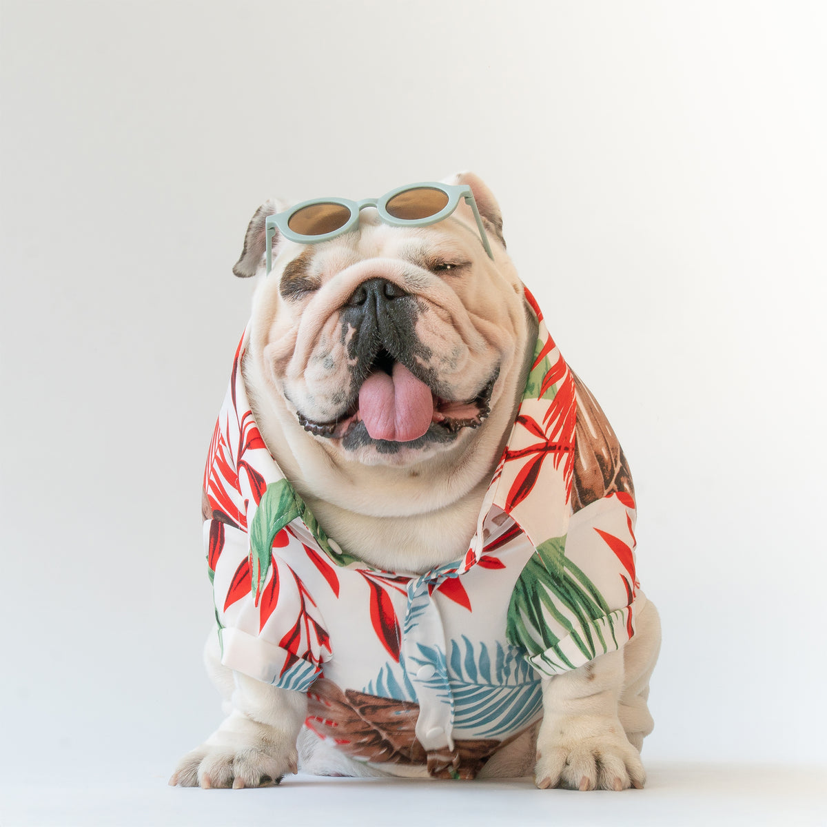 WONTON Tropicalia shirt
