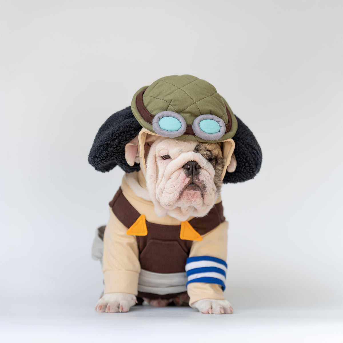 WONTON Bullsopp costume