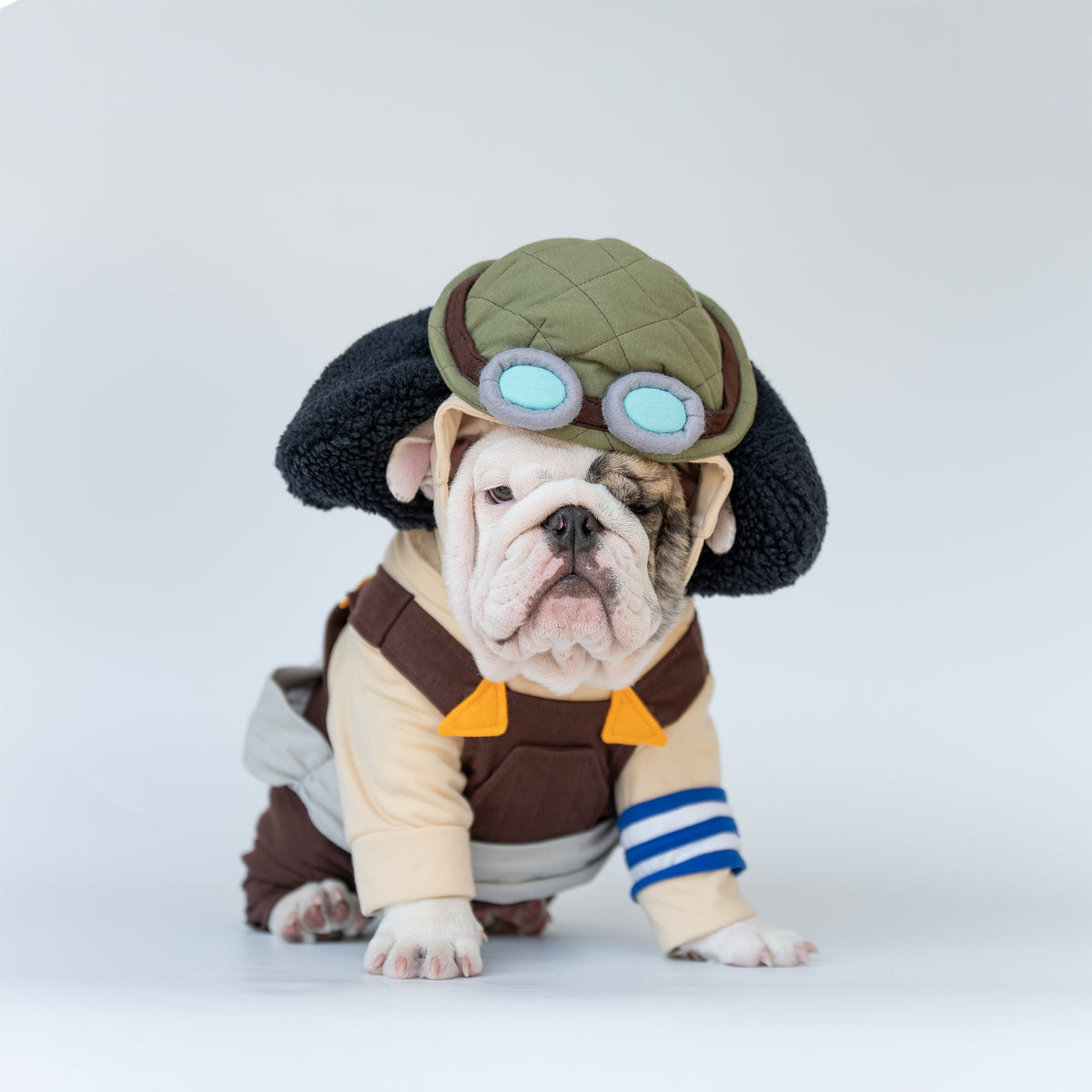 WONTON Bullsopp costume