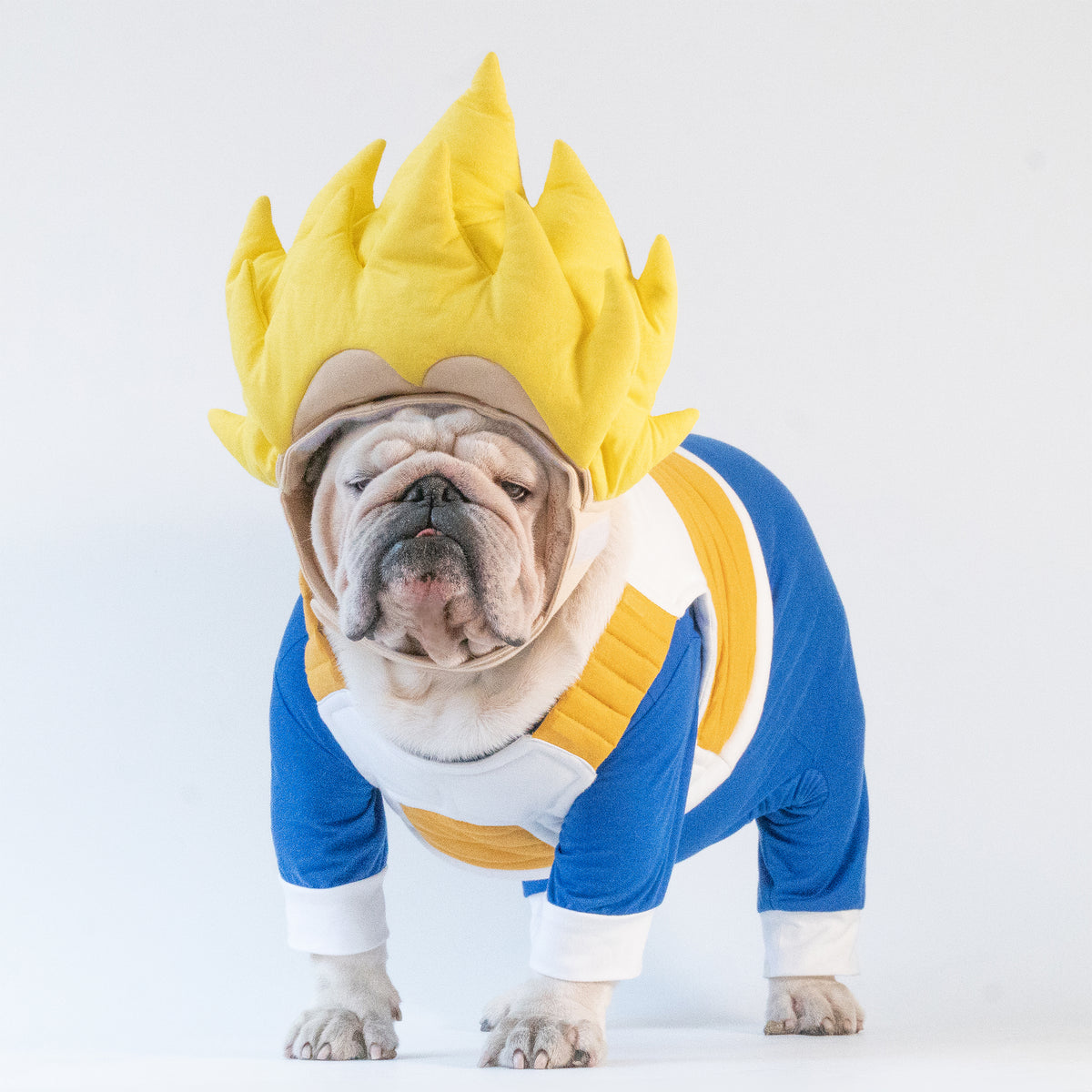 WONTON Vegeta costume