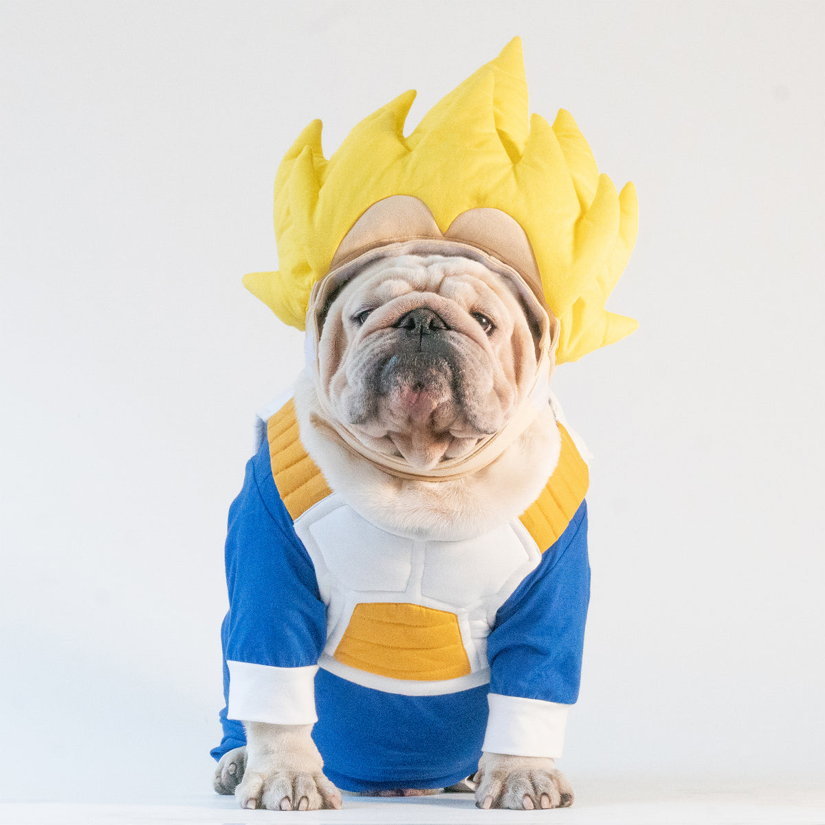WONTON Vegeta costume