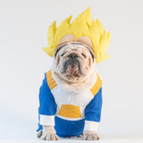 WONTON Vegeta costume