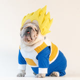 WONTON Vegeta costume