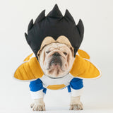 WONTON Vegeta costume