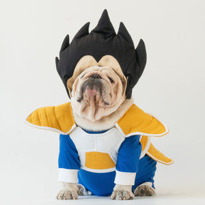 WONTON Vegeta costume