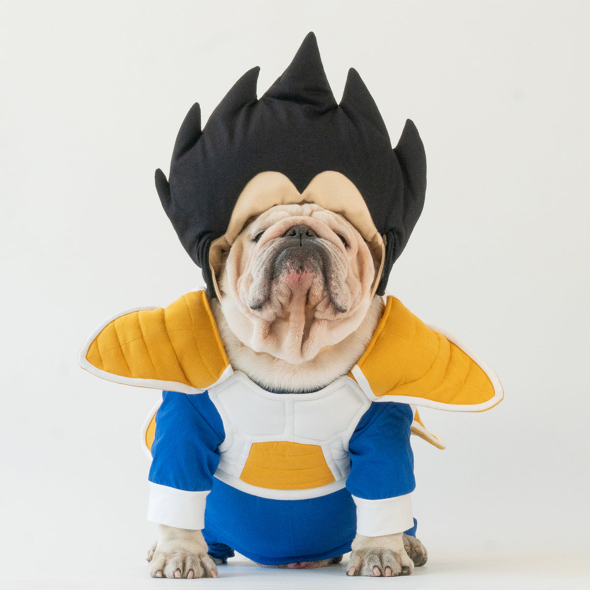 WONTON Vegeta costume