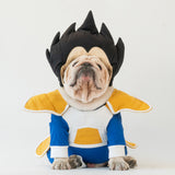WONTON Vegeta costume
