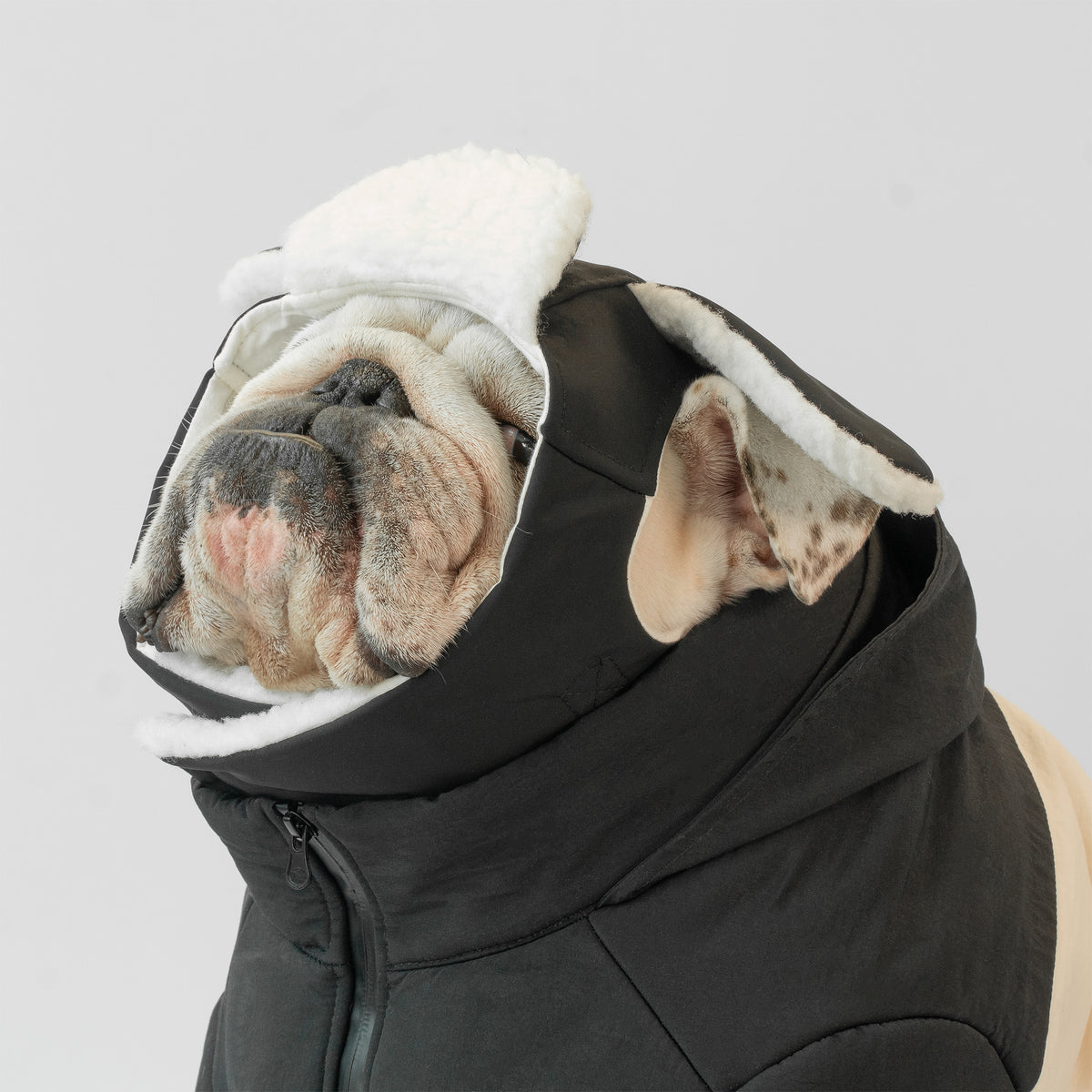 WONTON Winter Hat in black