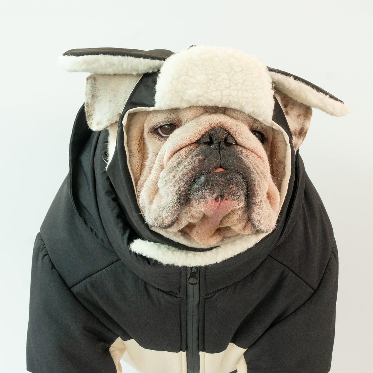 WONTON Winter Hat in black