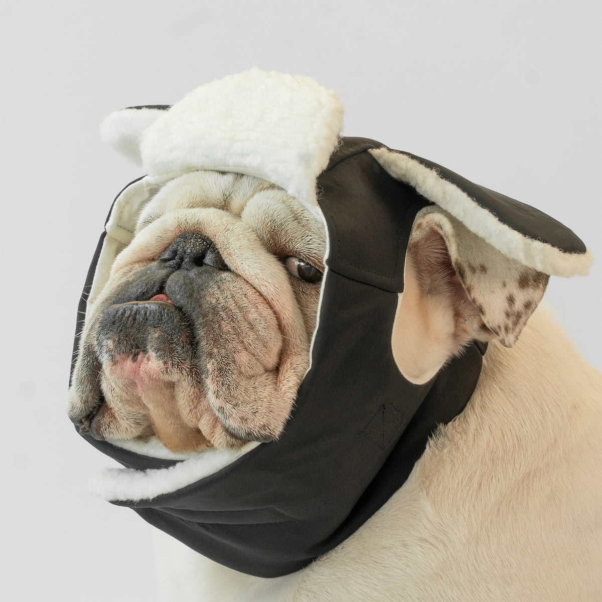 WONTON Winter Hat in black