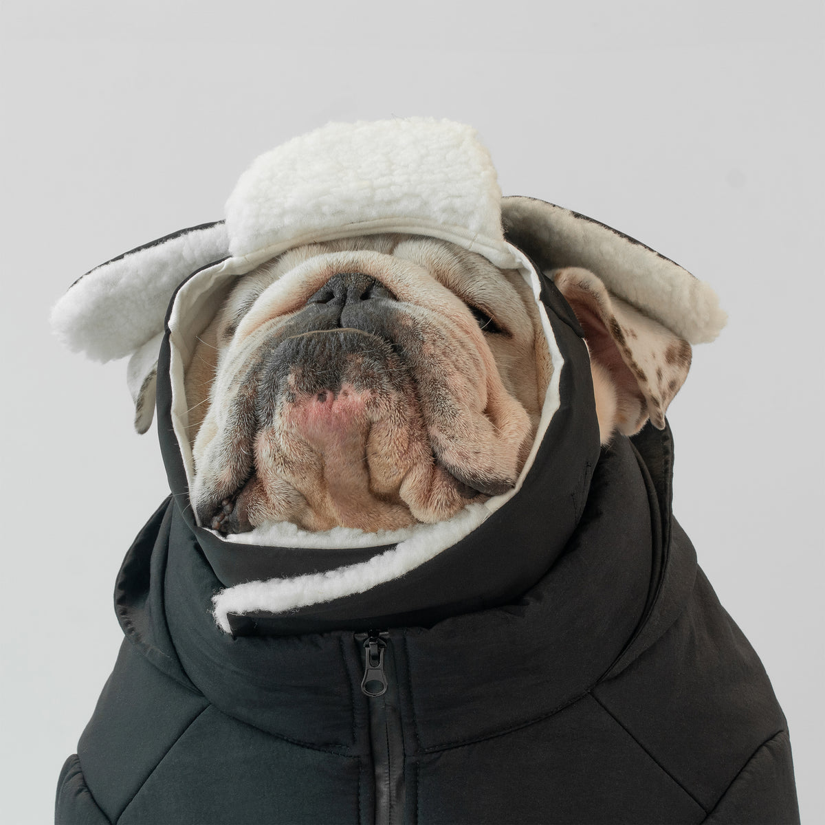 WONTON Winter Hat in black