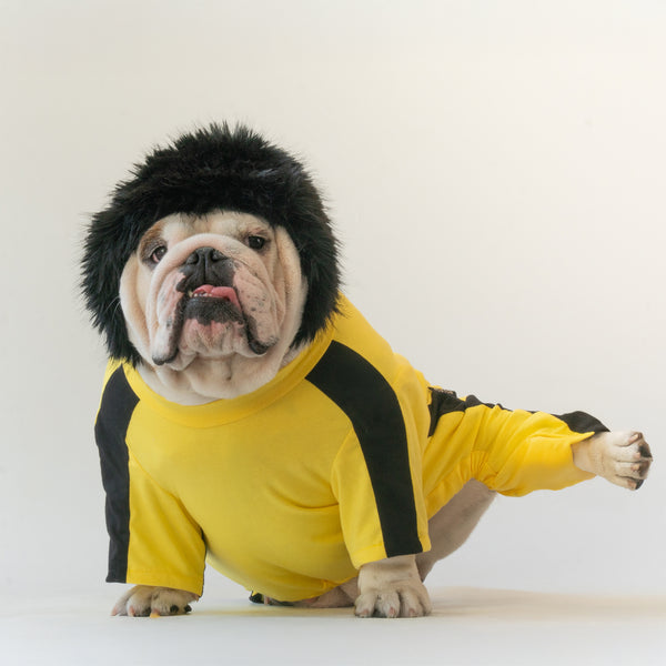 WONTONWoofLeecostume2small_gra