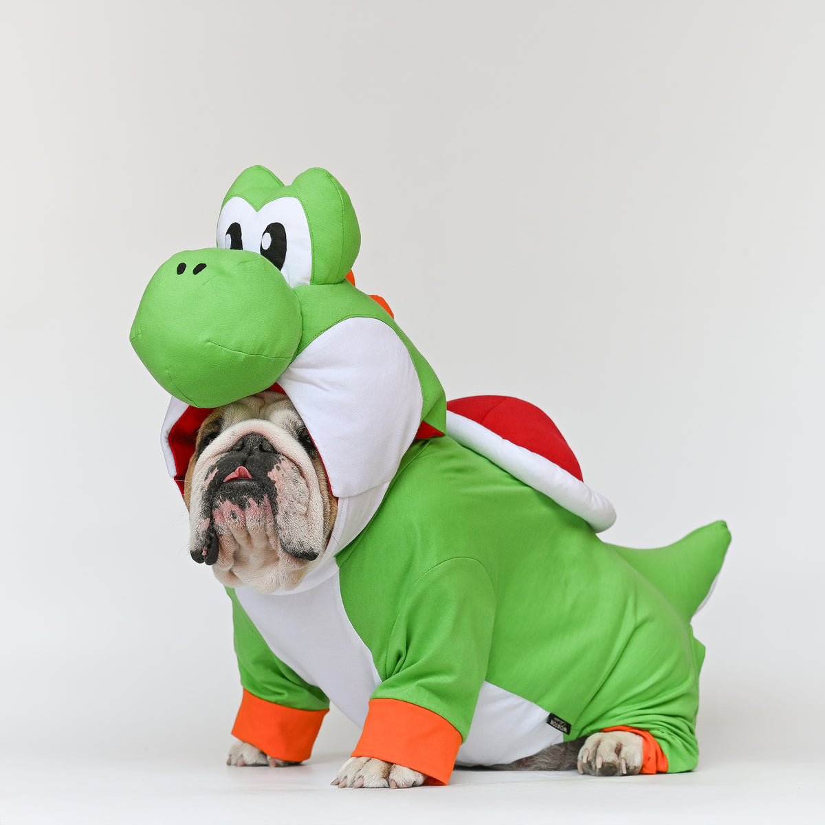 WONTON Goshi costume (Limited Edition)
