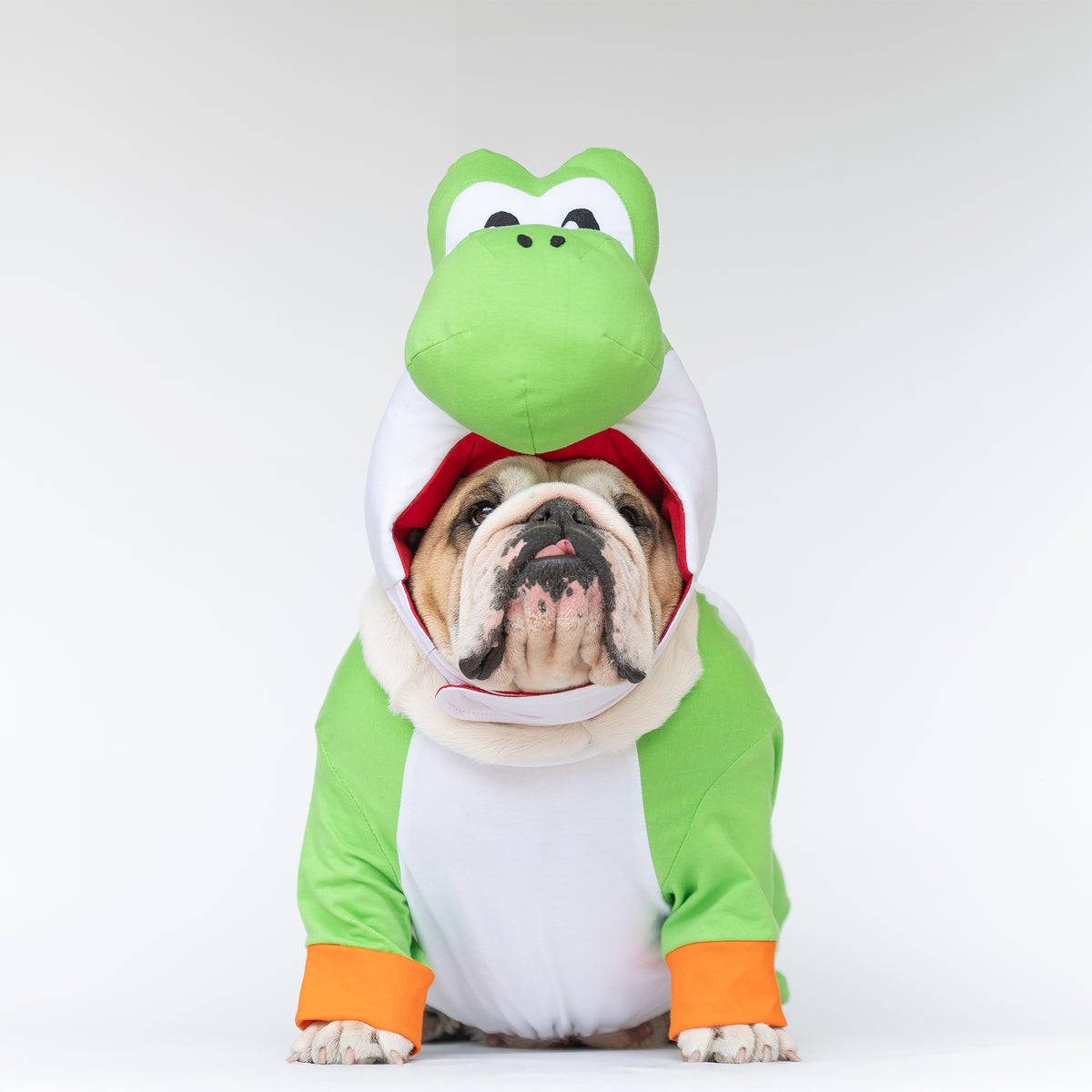 WONTON Goshi costume (Limited Edition)