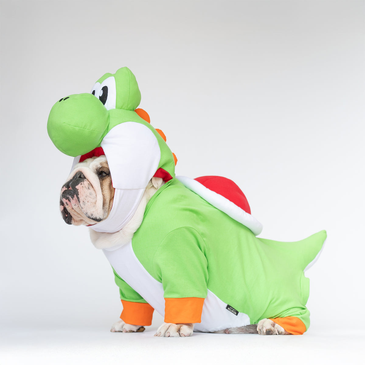 WONTON Goshi costume (Limited Edition)