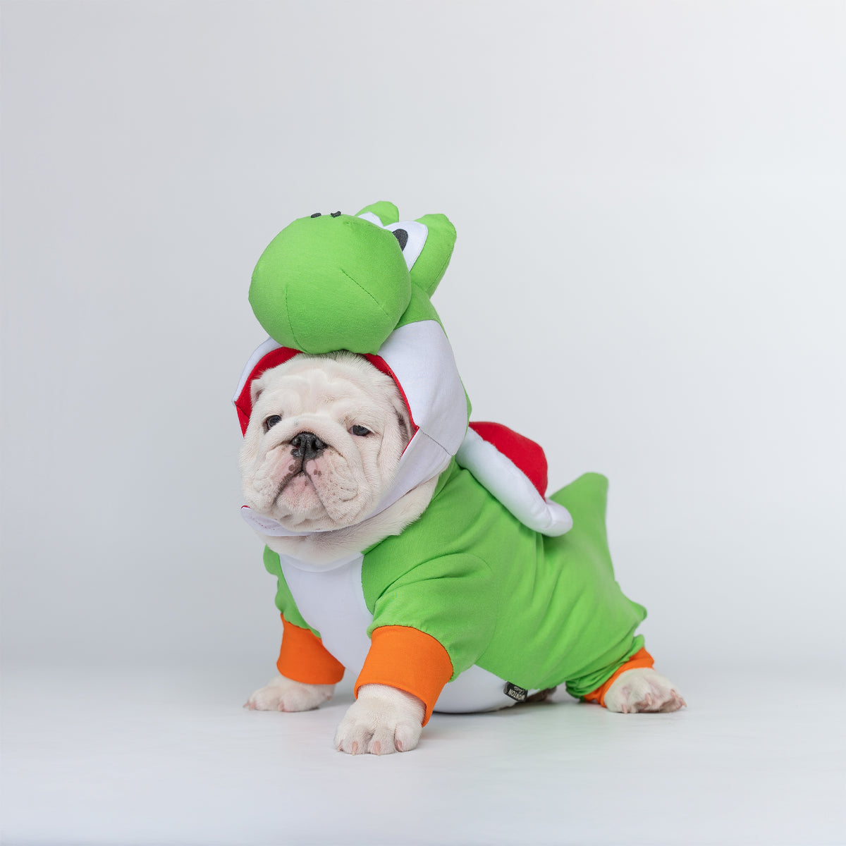 WONTON Goshi costume (Limited Edition)