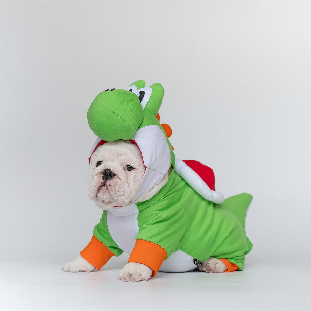WONTON Goshi costume (Limited Edition)