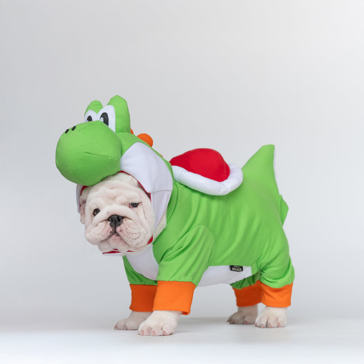 WONTON Goshi costume (Limited Edition)