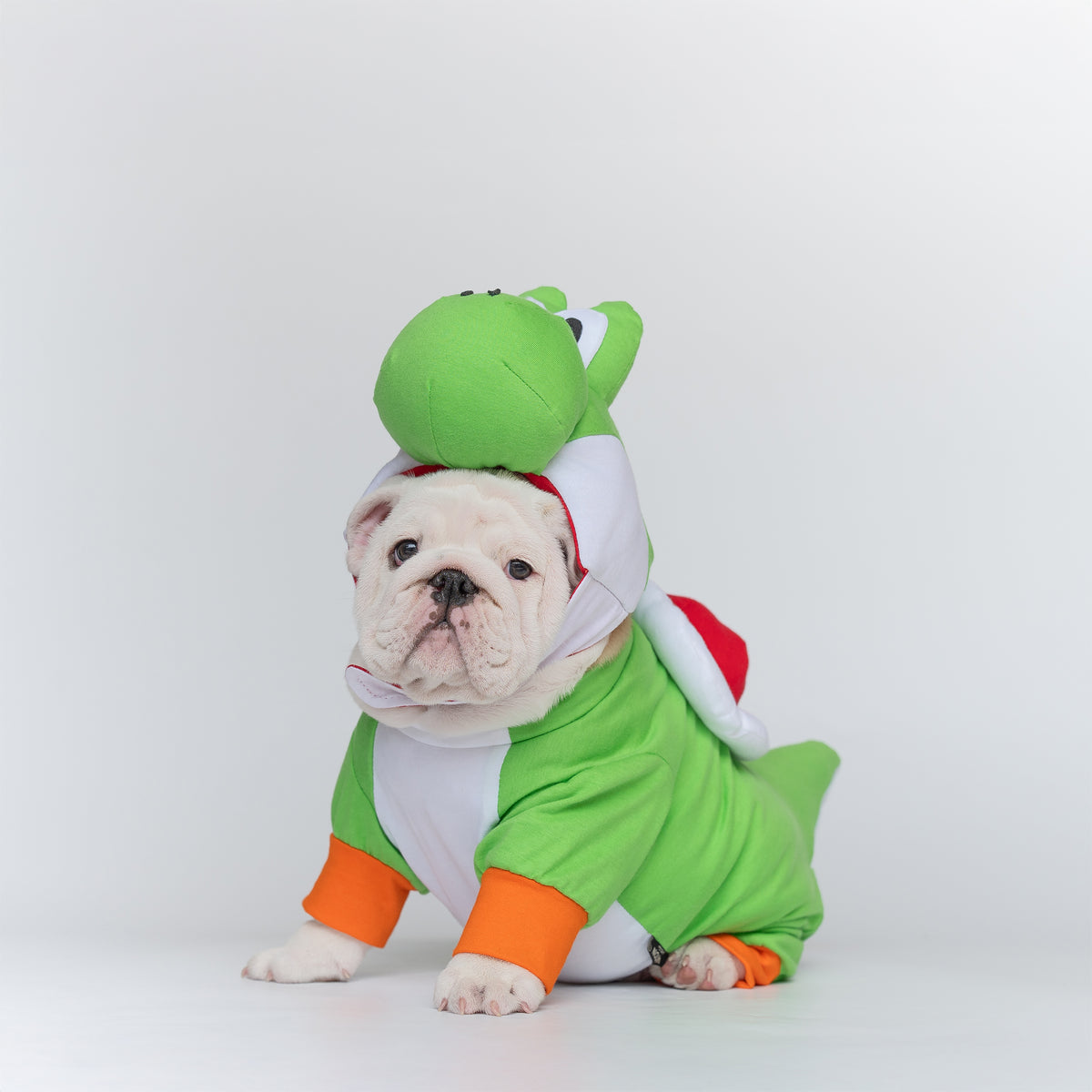 WONTON Goshi costume (Limited Edition)