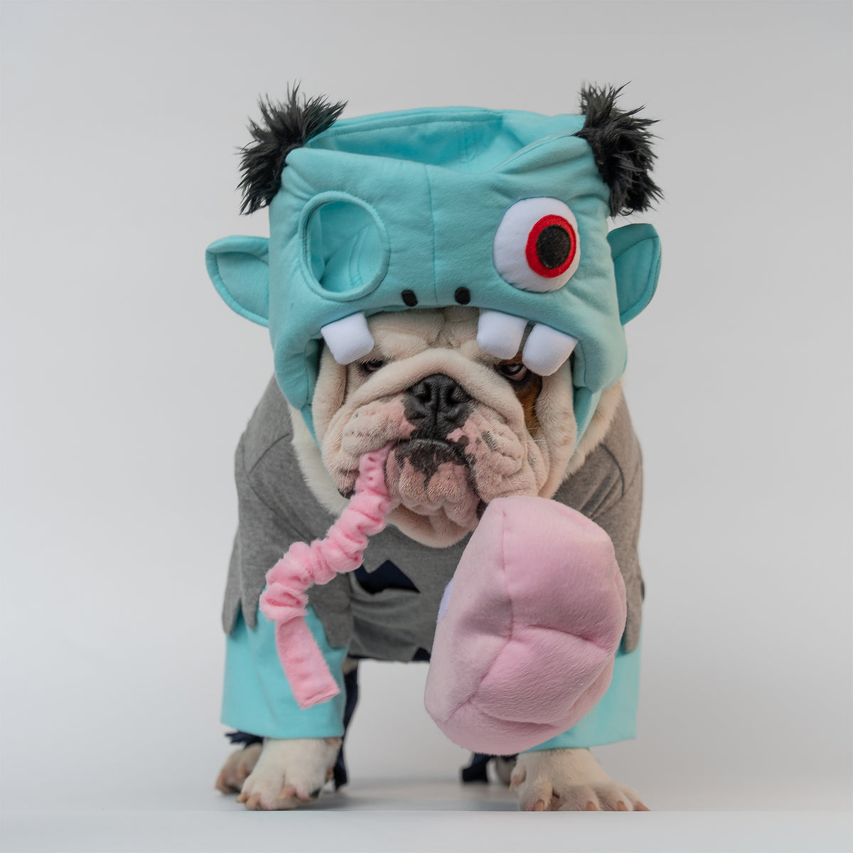 WONTON Zombie costume