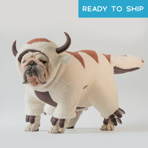 WONTON Sky Bison costume