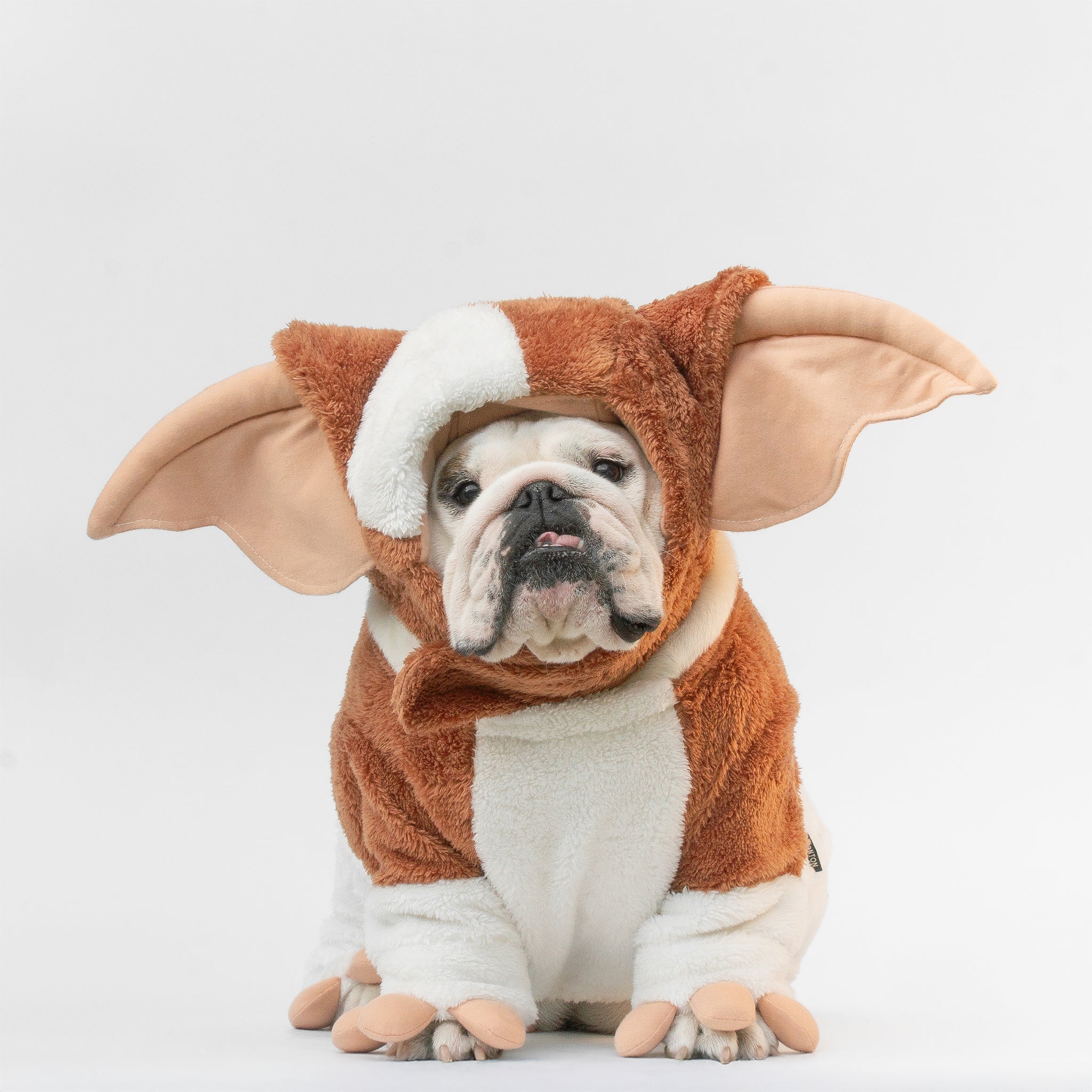 WONTON Bulzmo costume