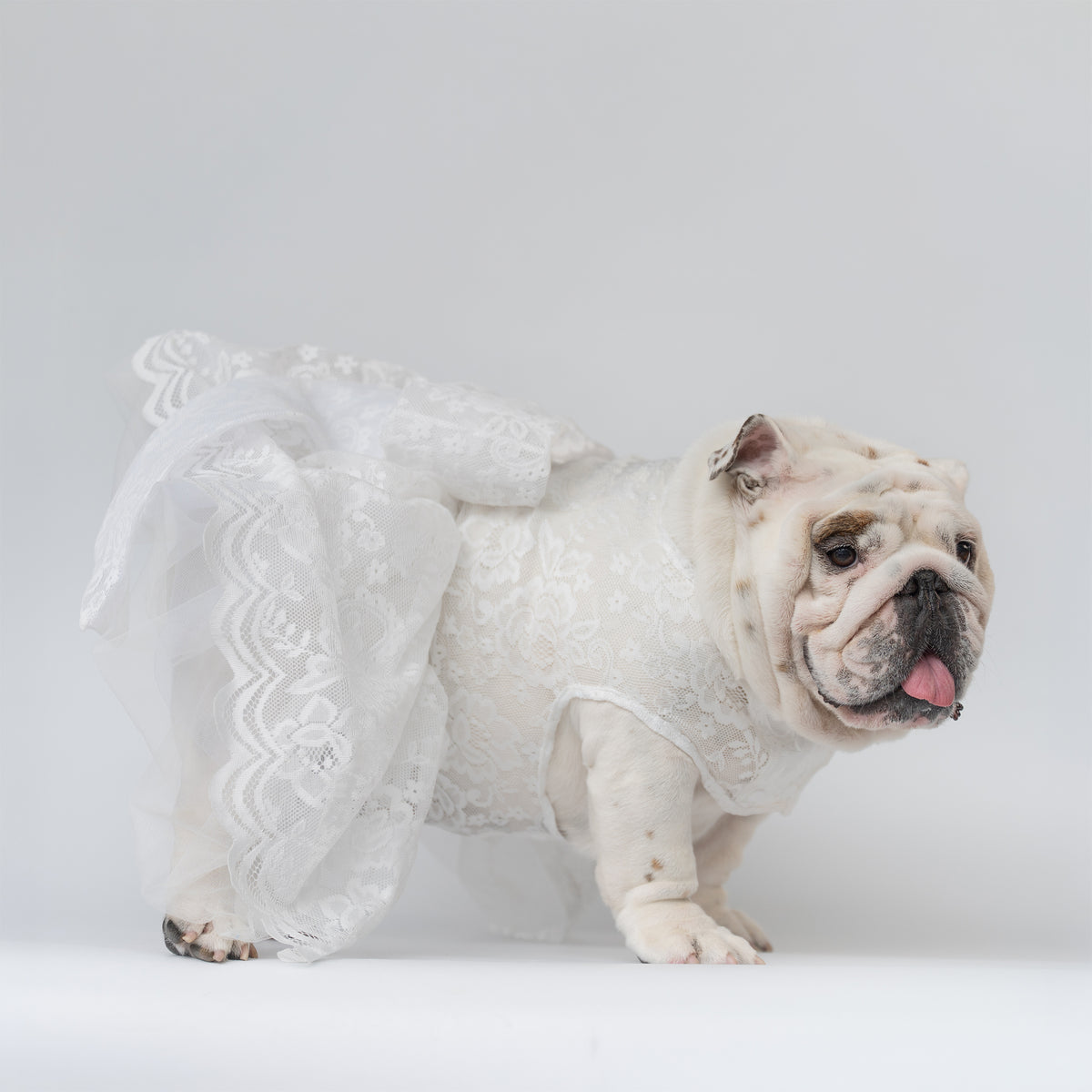 WONTON Cloud Bride Dress (Ultra-Breathable)