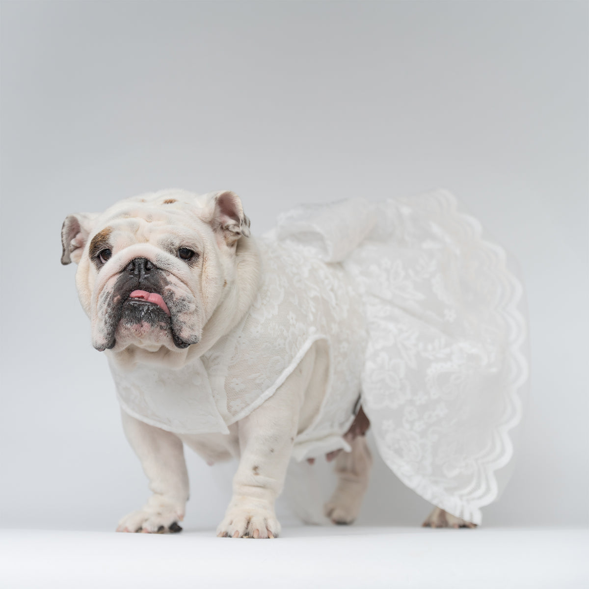 WONTON Cloud Bride Dress (Ultra-Breathable)