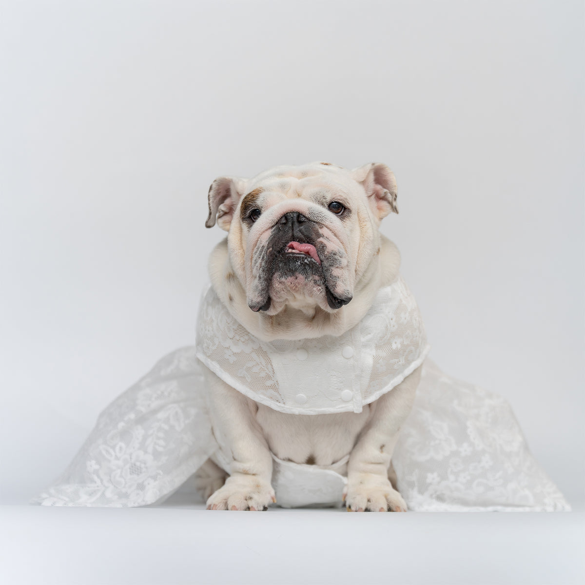 WONTON Cloud Bride Dress (Ultra-Breathable)