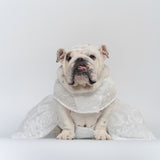 WONTON Cloud Bride Dress (Ultra-Breathable)