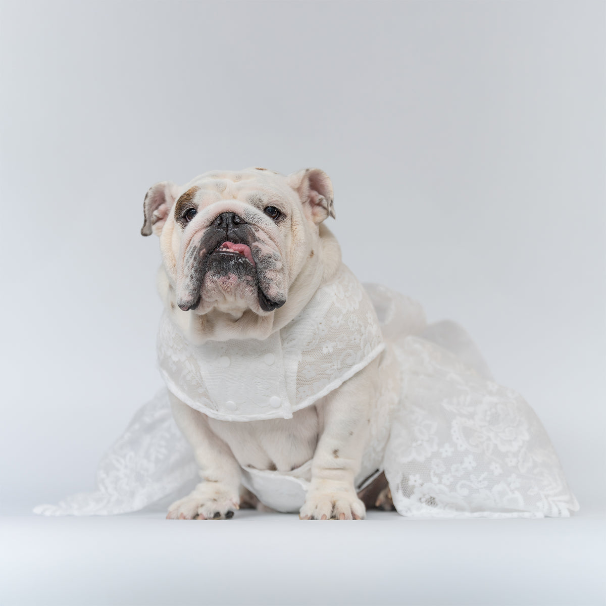 WONTON Cloud Bride Dress (Ultra-Breathable)
