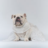 WONTON Cloud Bride Dress (Ultra-Breathable)