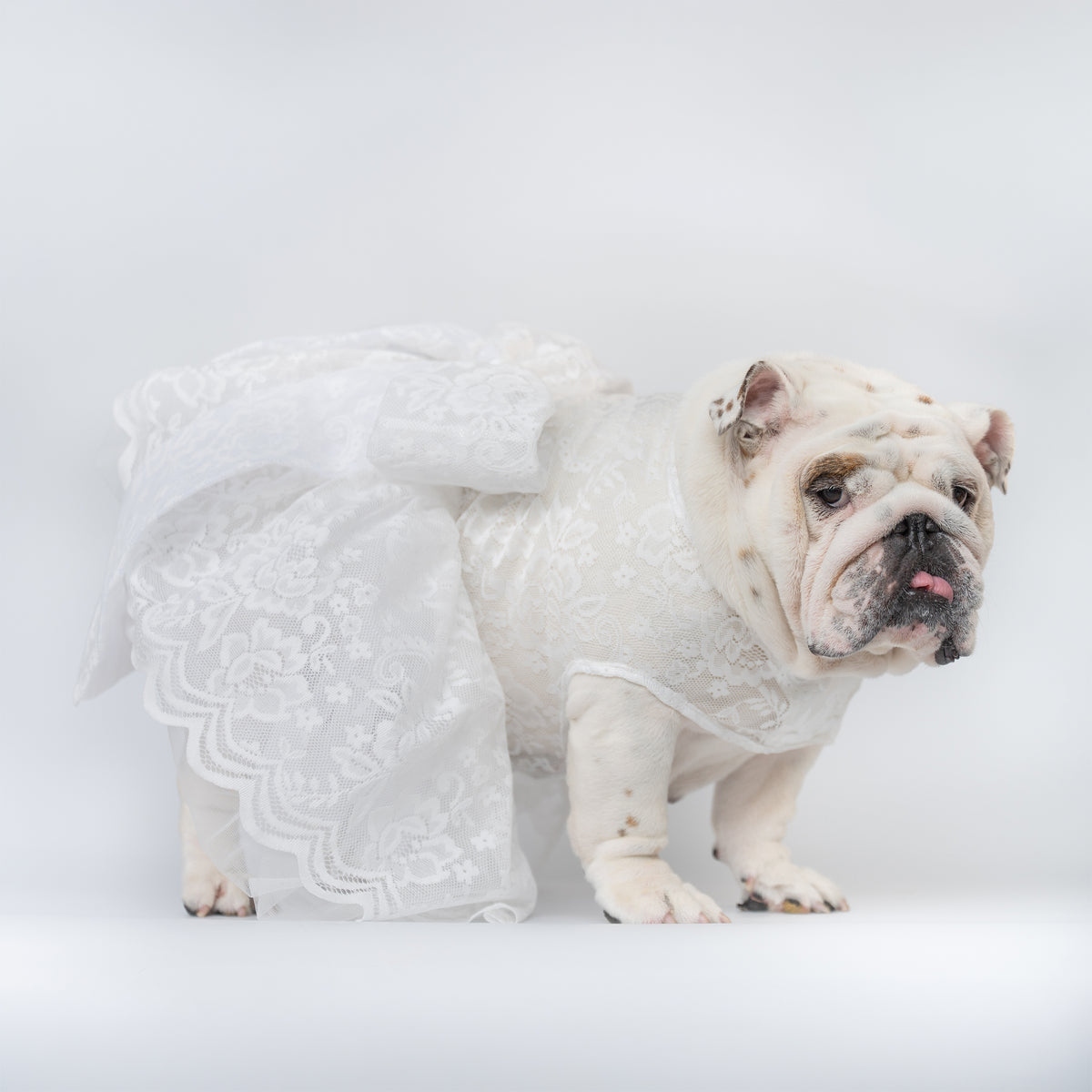 WONTON Cloud Bride Dress (Ultra-Breathable)