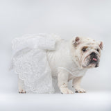 WONTON Cloud Bride Dress (Ultra-Breathable)