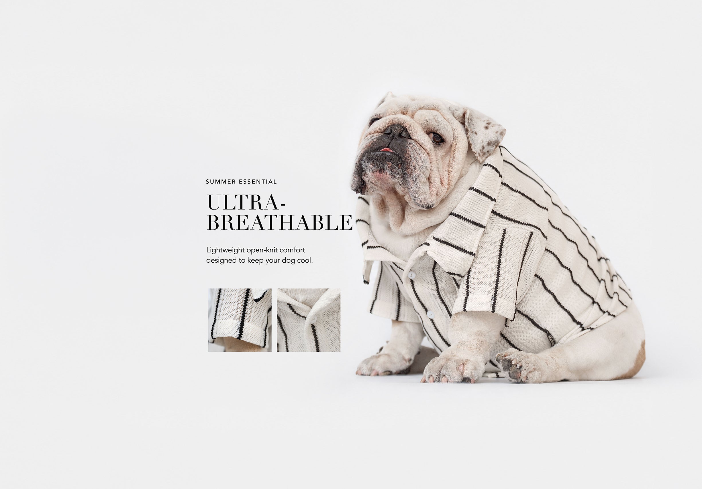 わんたん出品 ワンタン コレクション 犬服とアクセサリーのオンラインストア