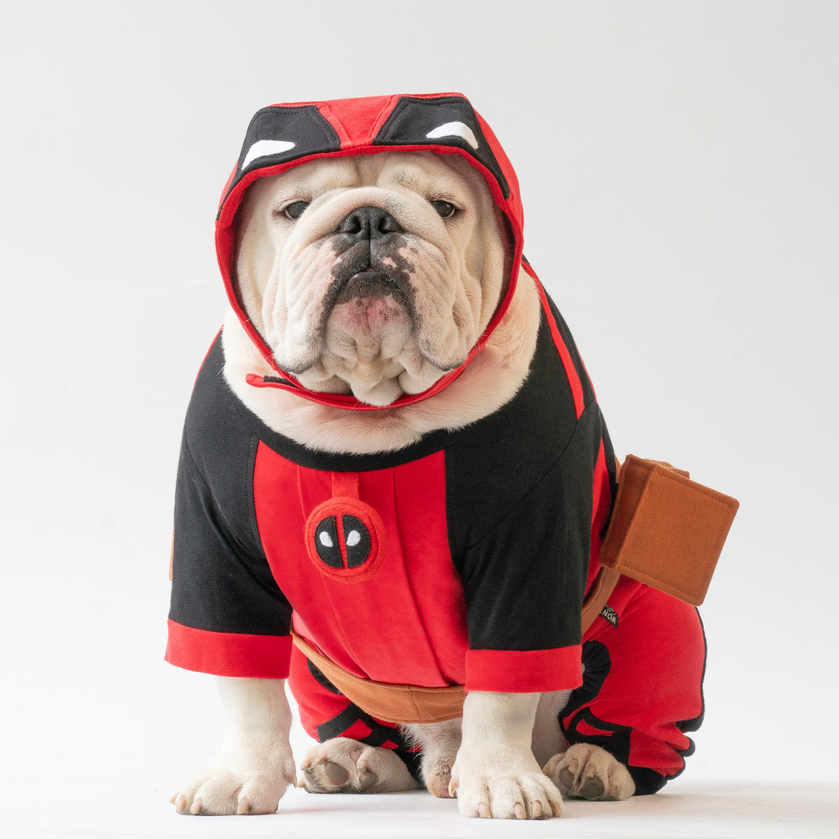 WONTON DogBull costume VERSION 2