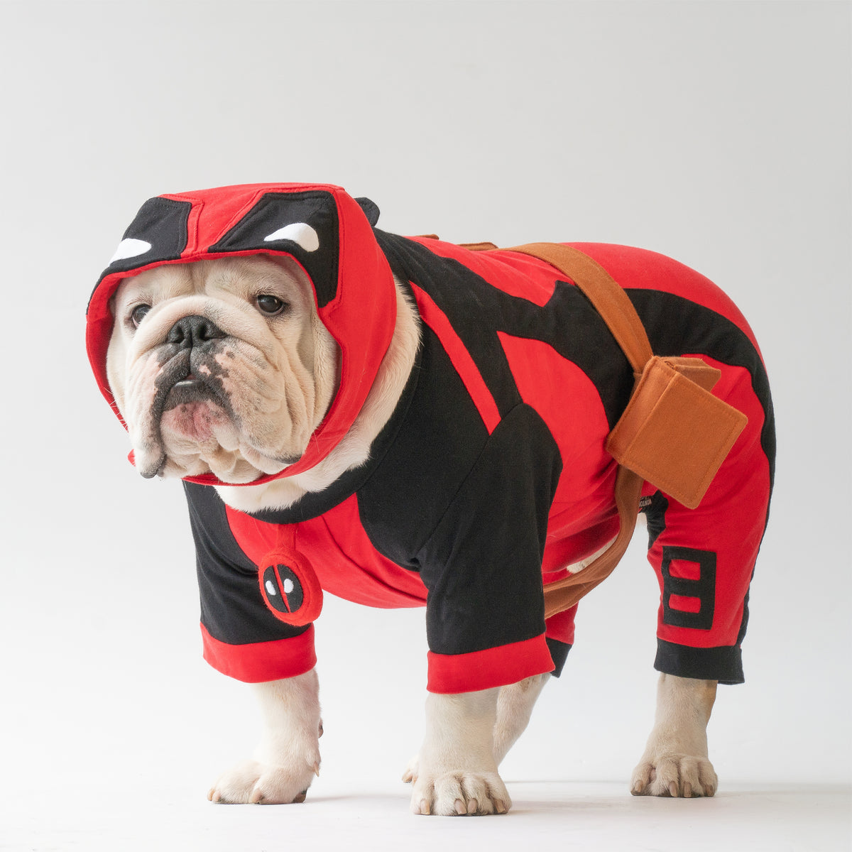 WONTON DogBull costume VERSION 2