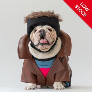 WONTON Bullbit costume (LIMITED EDITION)